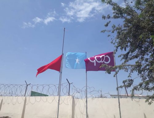 The 41st Anniversary of the UDHIS & Flag – raising Ceromany of International Cooperative Alliance (ICA)